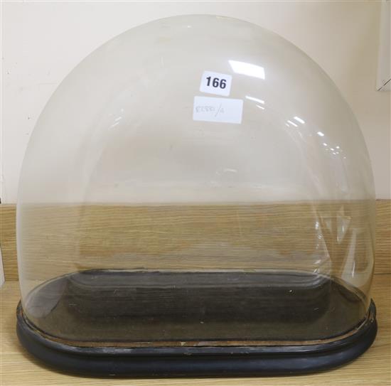 An oval glass dome and plinth